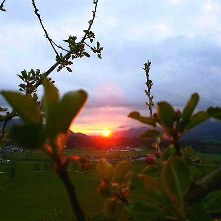 Griesbachhof-Wilder Kaiser 蒂罗尔州奥伯恩多夫 外观 照片